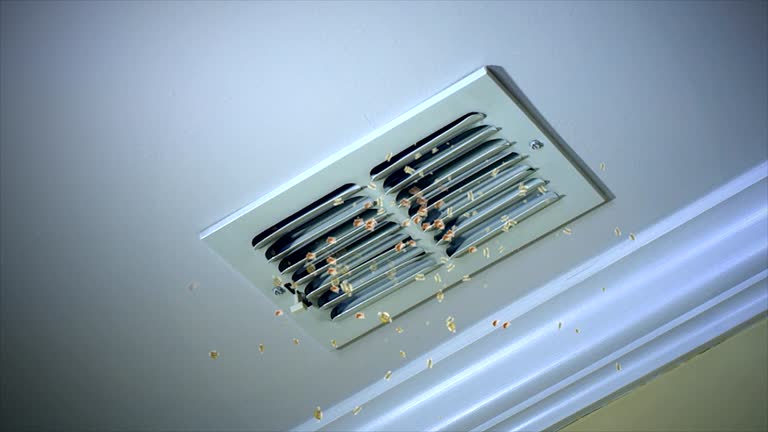 Best Emergency Air Duct Cleaning  in Boyce, LA