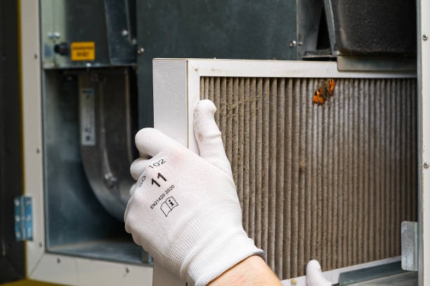 Best Best Air Duct Cleaning Company  in Boyce, LA