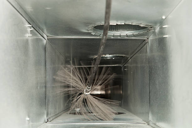 Best Affordable Duct Cleaning Services  in Boyce, LA