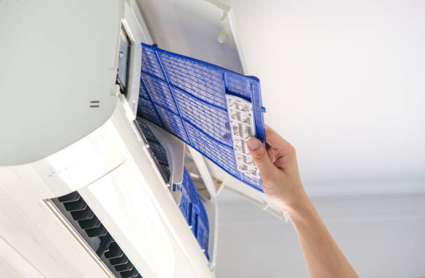 Best Home Air Vent Cleaning  in Boyce, LA