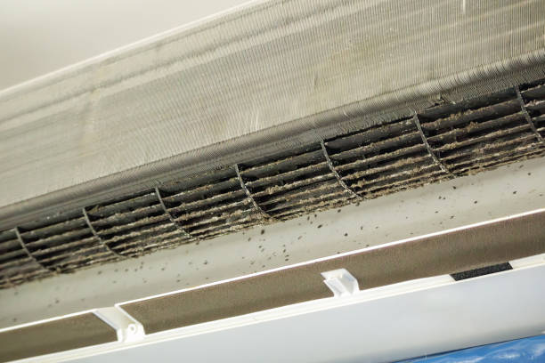 Best Ductwork Cleaning Services  in Boyce, LA