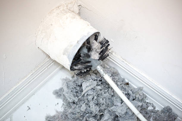 Best Commercial Air Duct Cleaning  in Boyce, LA