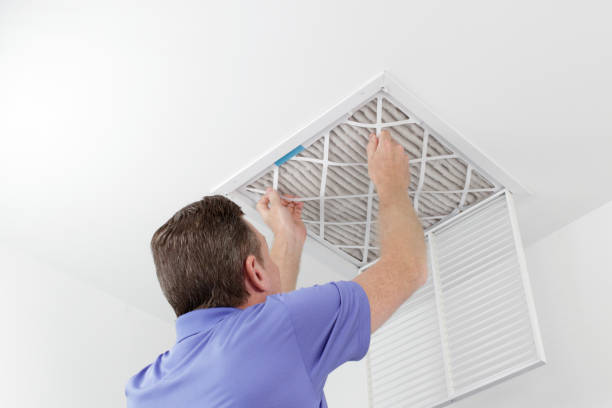 Best Professional Duct Cleaning Services  in Boyce, LA